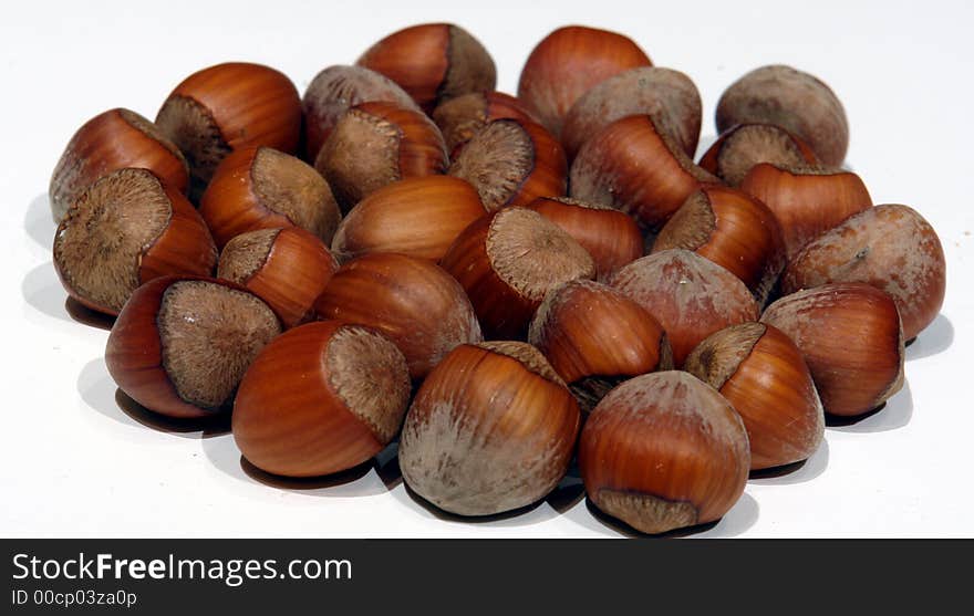 Hazelnuts or filberts on a white background. Hazelnuts or filberts on a white background