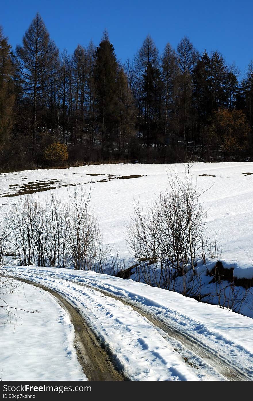 Winters landscape and blue snow. Winters landscape and blue snow