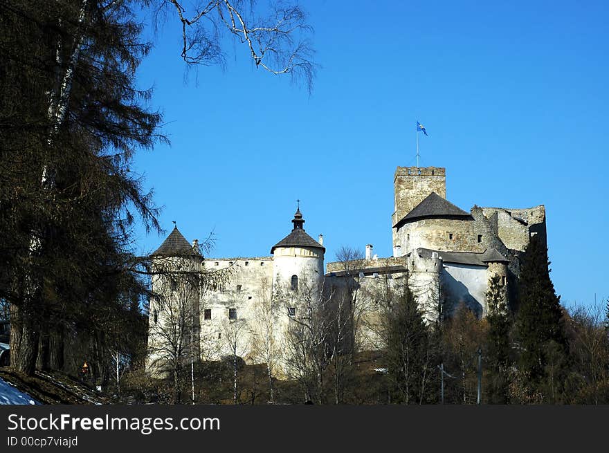 Medieval castle in Poland. View.