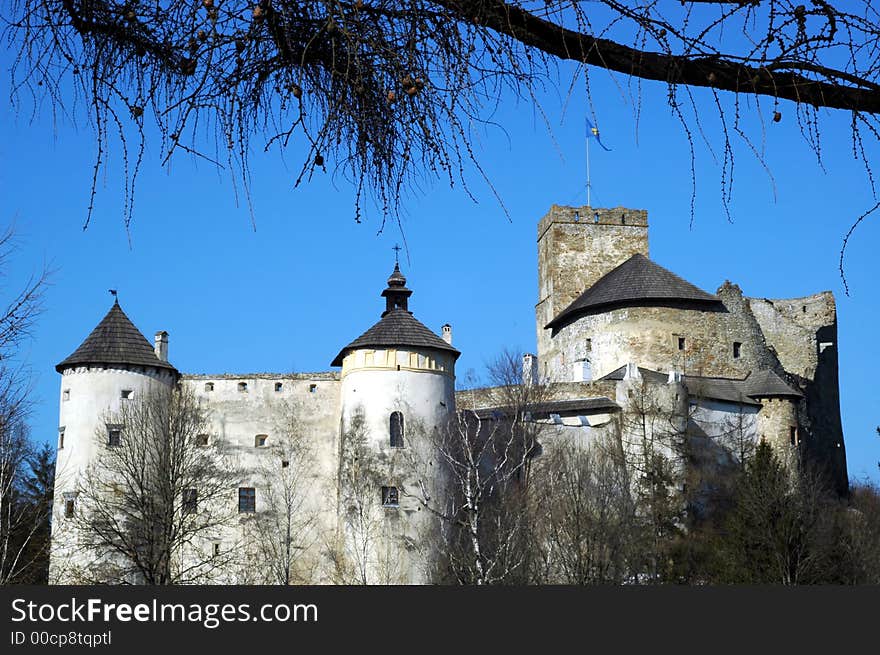 Medieval castle in Poland. View.