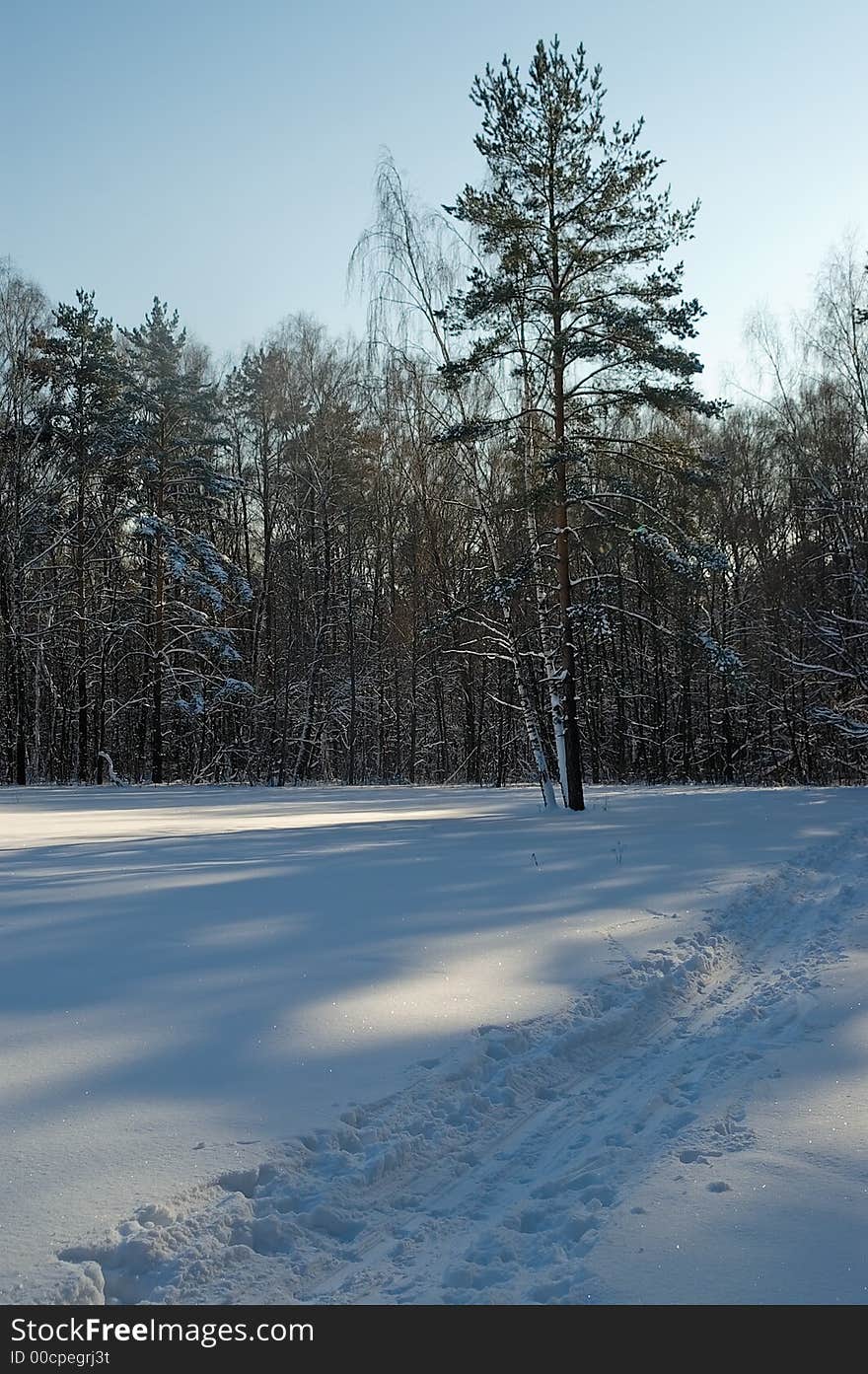 Ski-track at clearing