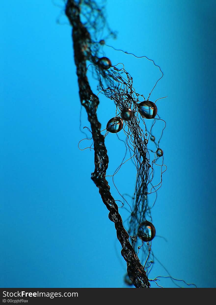 Macro shot of water drops on small branch. Macro shot of water drops on small branch.