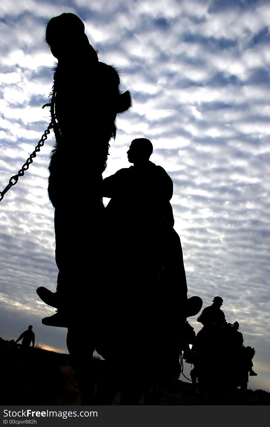 Camel ride silhouette in the negev desert-Israel. Camel ride silhouette in the negev desert-Israel