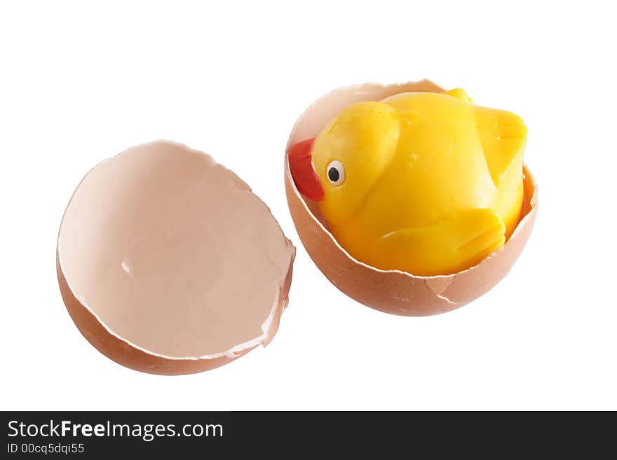 Little chicken in the eggshell. Little chicken in the eggshell