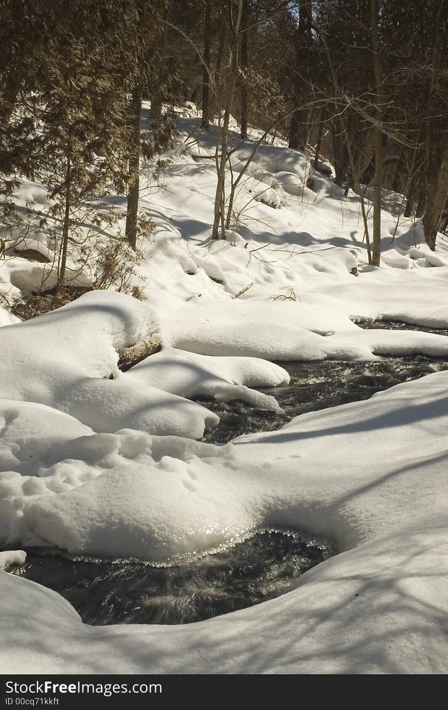 Winter Stream