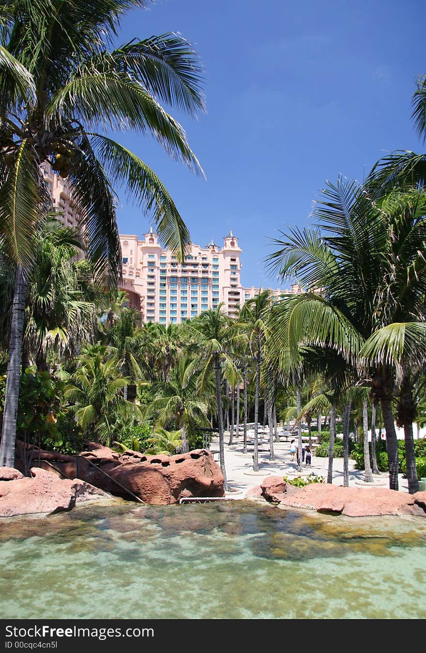 Garden of a luxury tropical hotel and resort. Garden of a luxury tropical hotel and resort