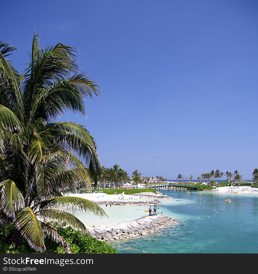 Palm on a blue tropical lagoon