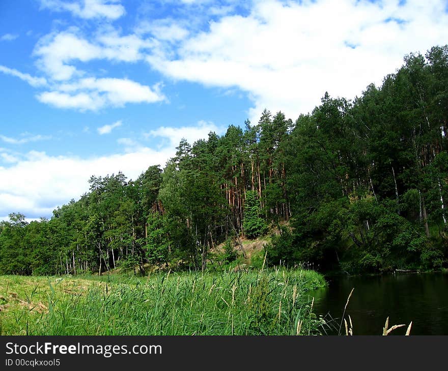 Forest and cloudly sky, beauty place, rest time. Forest and cloudly sky, beauty place, rest time