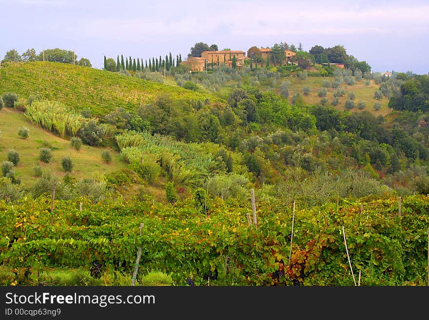 Nice Classic Tuscan Farmhouse in italy