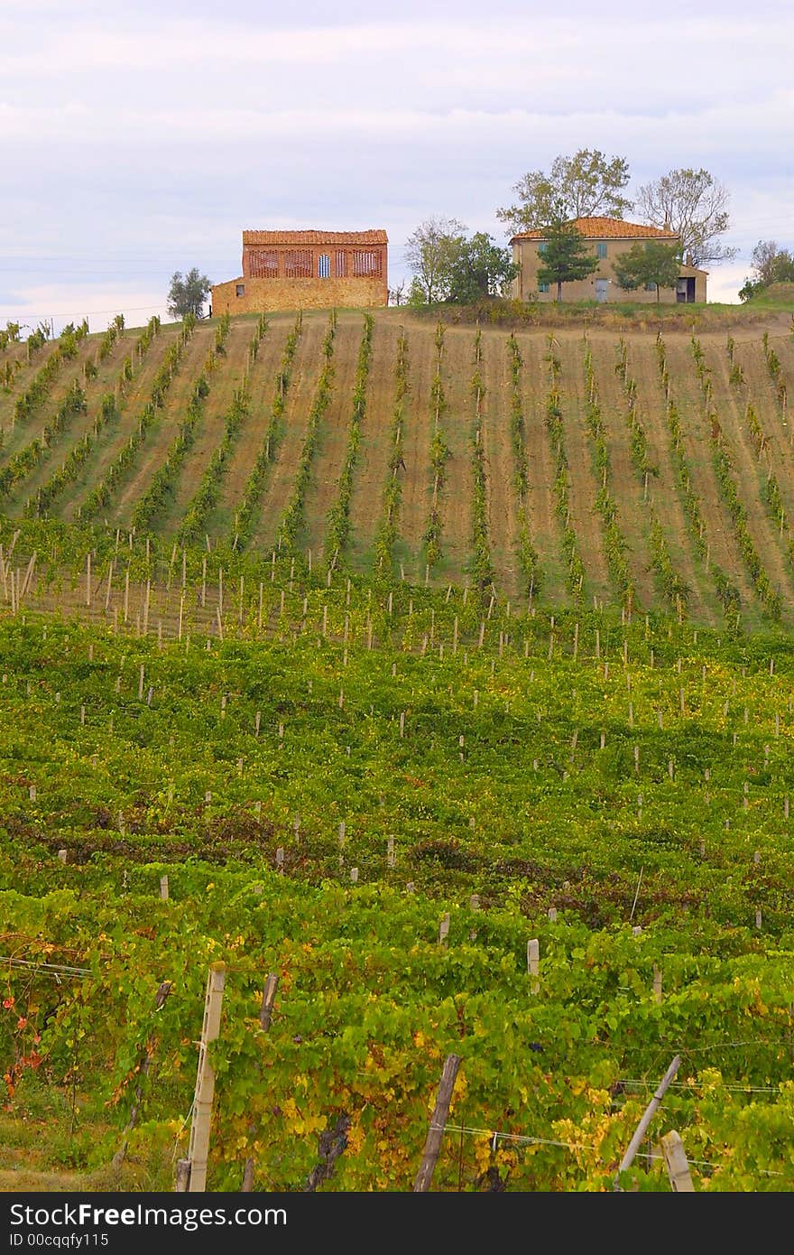 Nice Classic Tuscan Farmhouse in italy