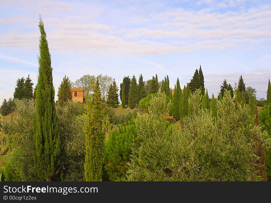 Nice Classic Tuscan Farmhouse in italy