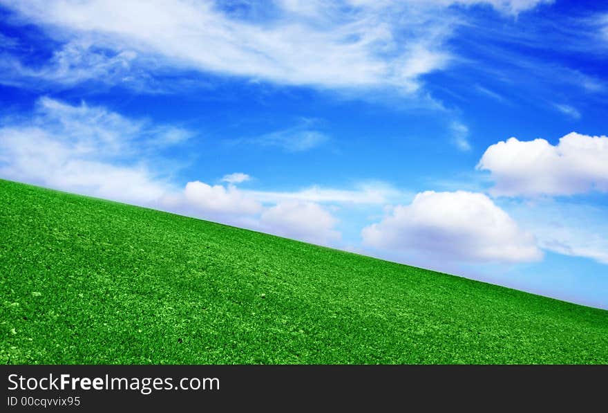 A green meadow under the beautiful blue sky with clouds. A green meadow under the beautiful blue sky with clouds