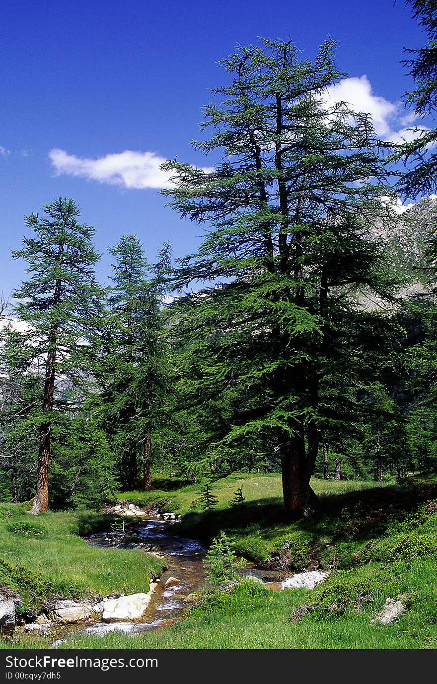 River In Mountain