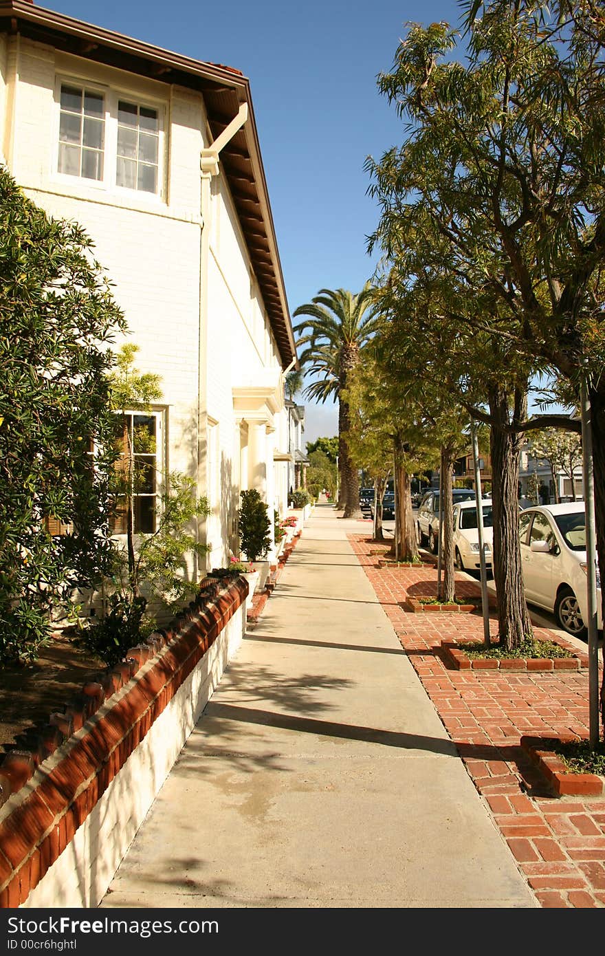 Beautiful Tree Lined Street