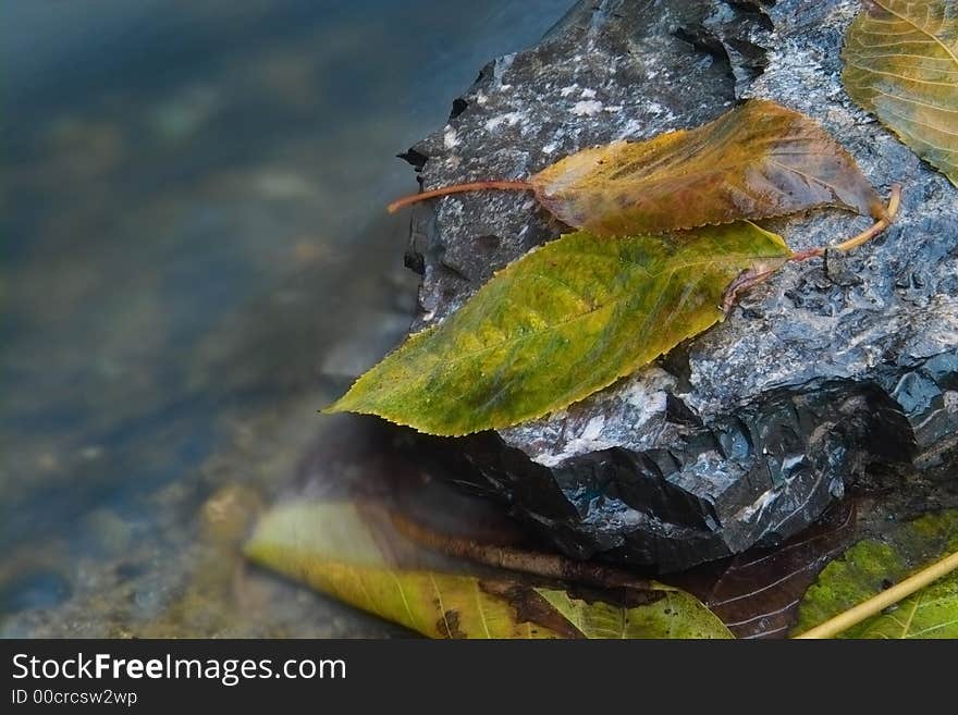 2 leaves on the stone beside water.