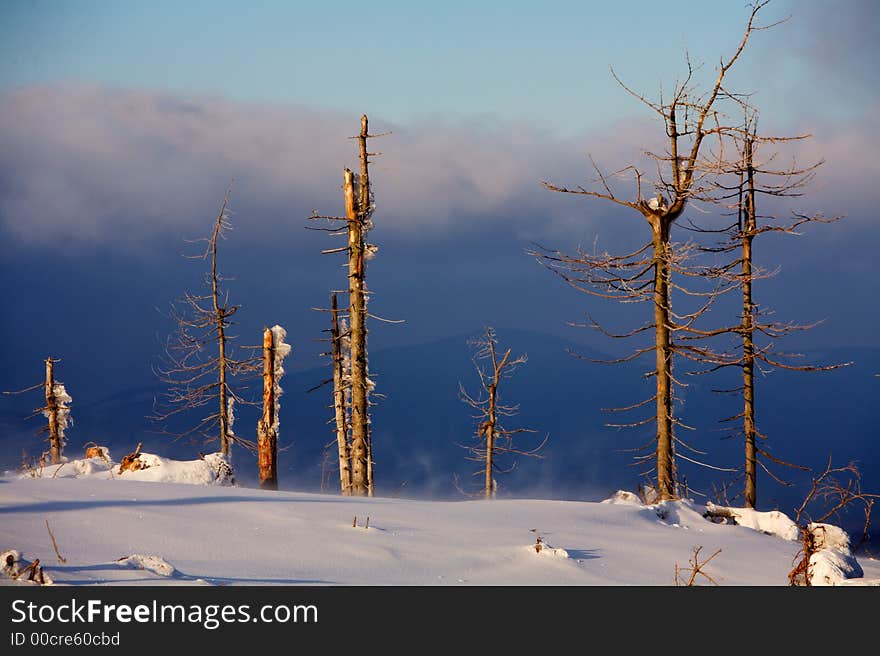 Sunrise in mountains