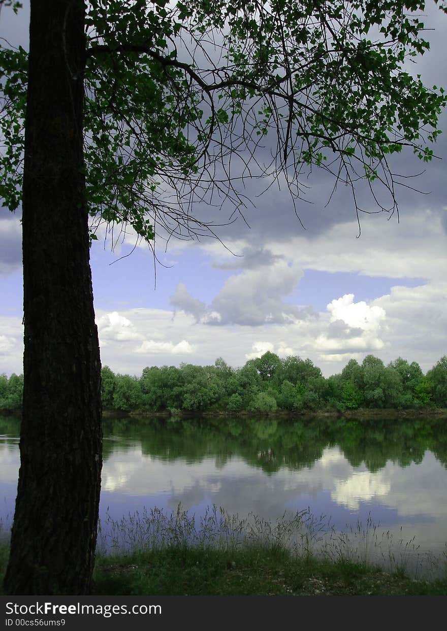 Tree with green leaves and river and clouds