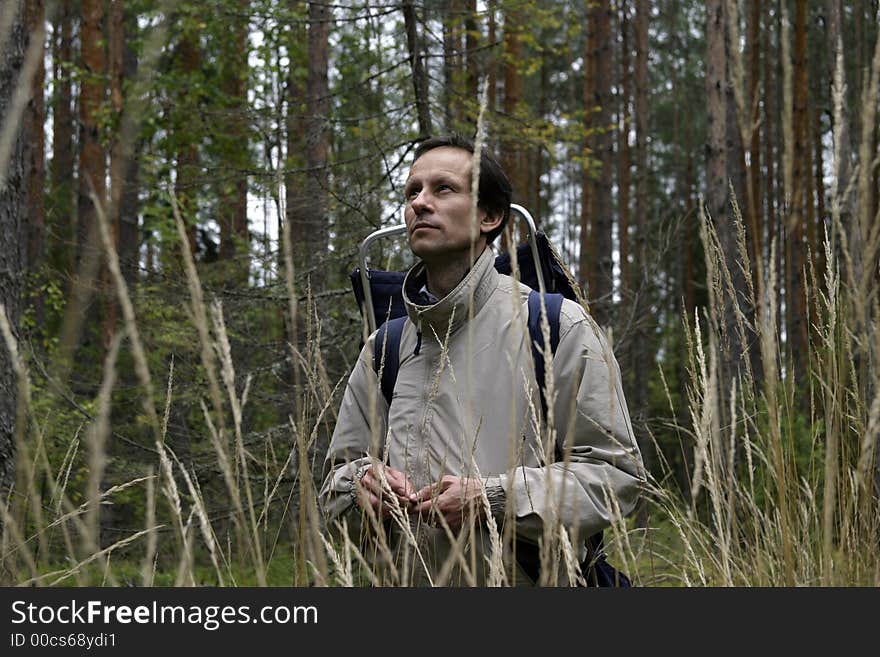 The mushroom picker with a backpack, filled by ceps estimates probability of change of weather. The mushroom picker with a backpack, filled by ceps estimates probability of change of weather