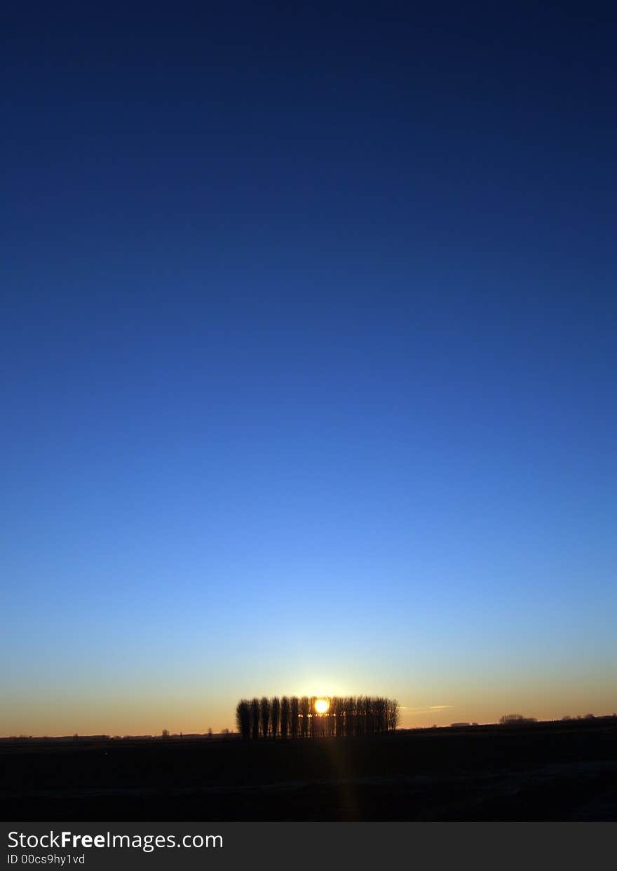 Group of trees meaning unity and the rising sun