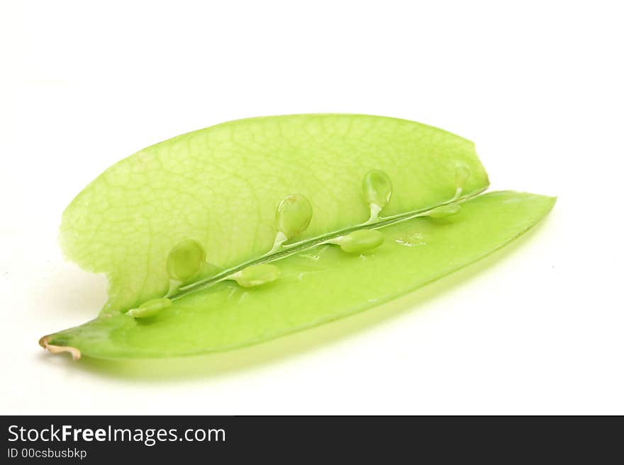 Single Snow Pea