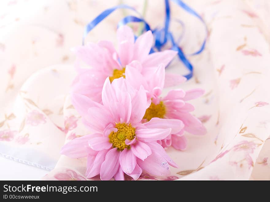 Shoot of nice abstract composition with flowers.