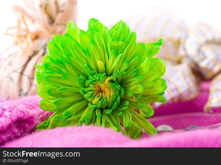 Composition with flowers.