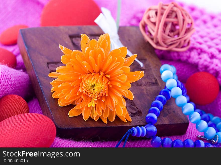 Shoot of nice abstract composition with flowers.