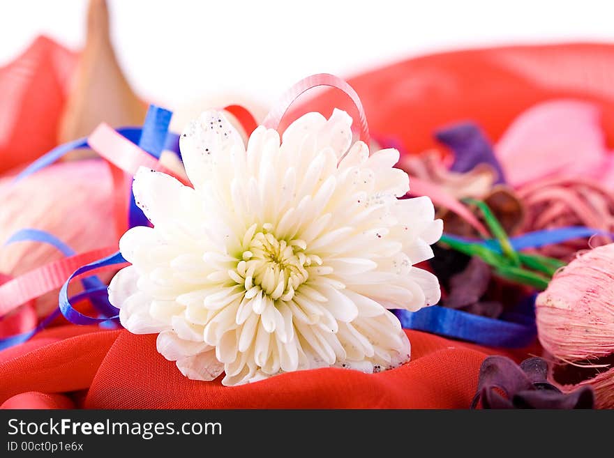 Shoot of nice abstract composition with flowers.