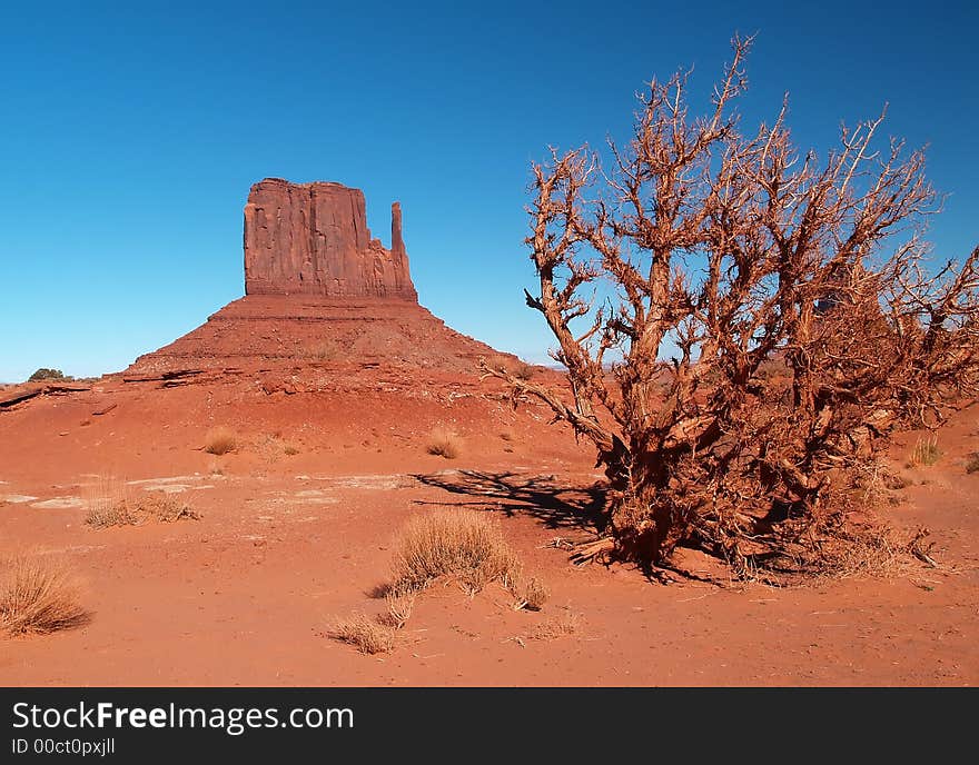 Monument Valley Navajo Tribal Park