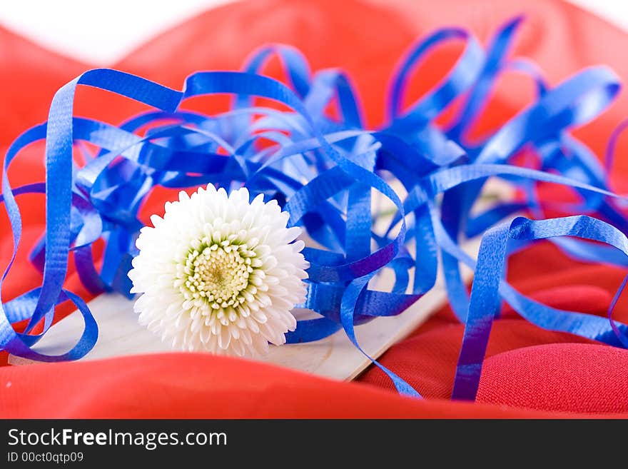 Shoot of nice abstract composition with flowers.