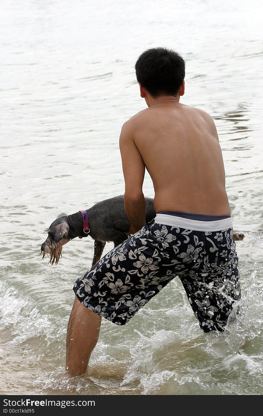 Man forcing the dog into the water. Man forcing the dog into the water