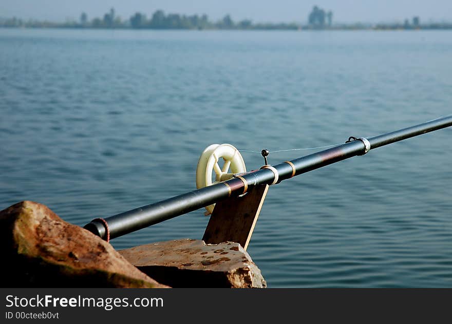 Fish in a lake in Sichuan, West of China. Fish in a lake in Sichuan, West of China