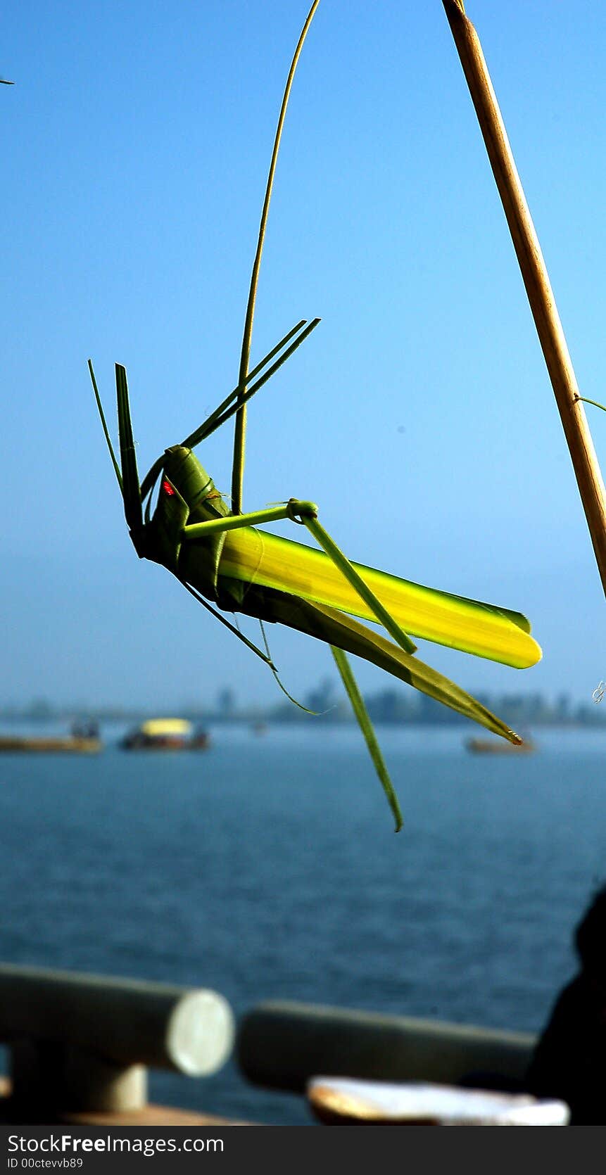 Chinese toy grasshopper made of grass