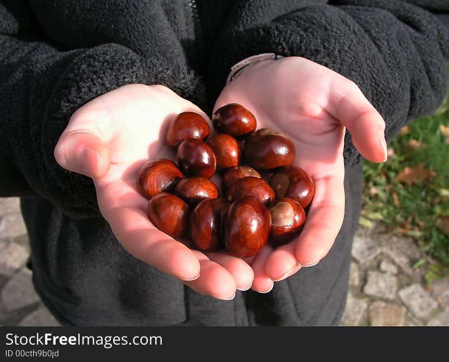 Hands With Chestnuts