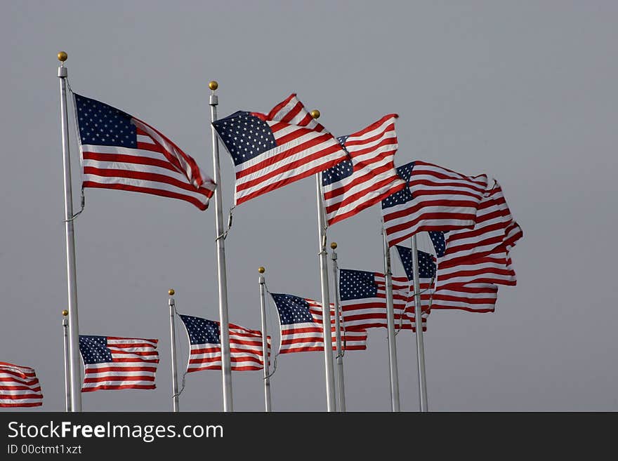 USA Flags