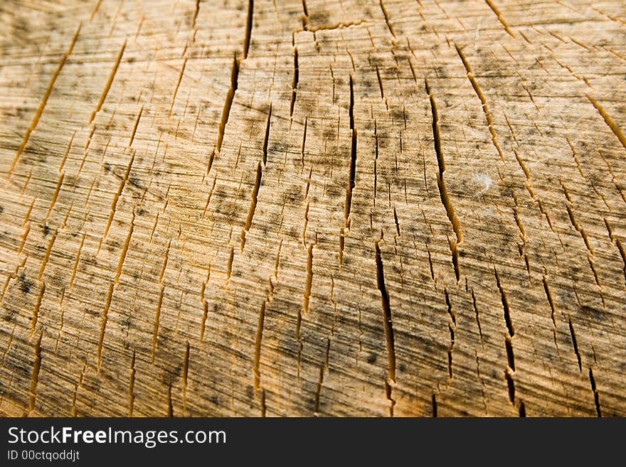 Cut of wood with cracks. Cut of wood with cracks