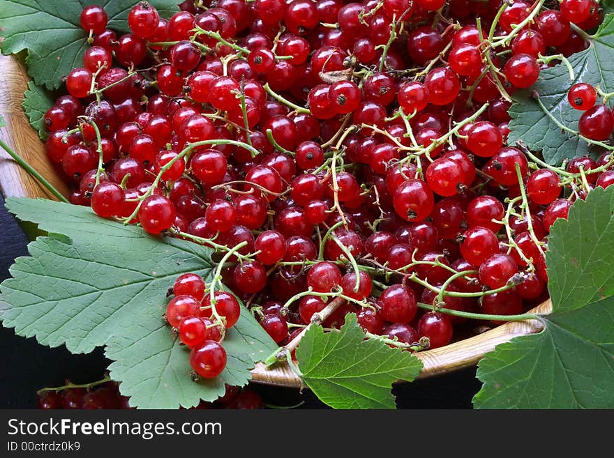 Red currant on the table in a shadow of suburban site