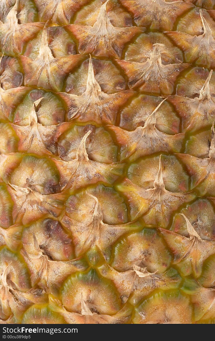 Close up of a pineapple. Close up of a pineapple