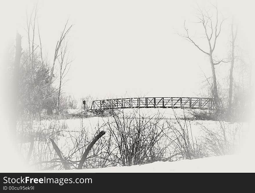 Winter scene in a park in black and white