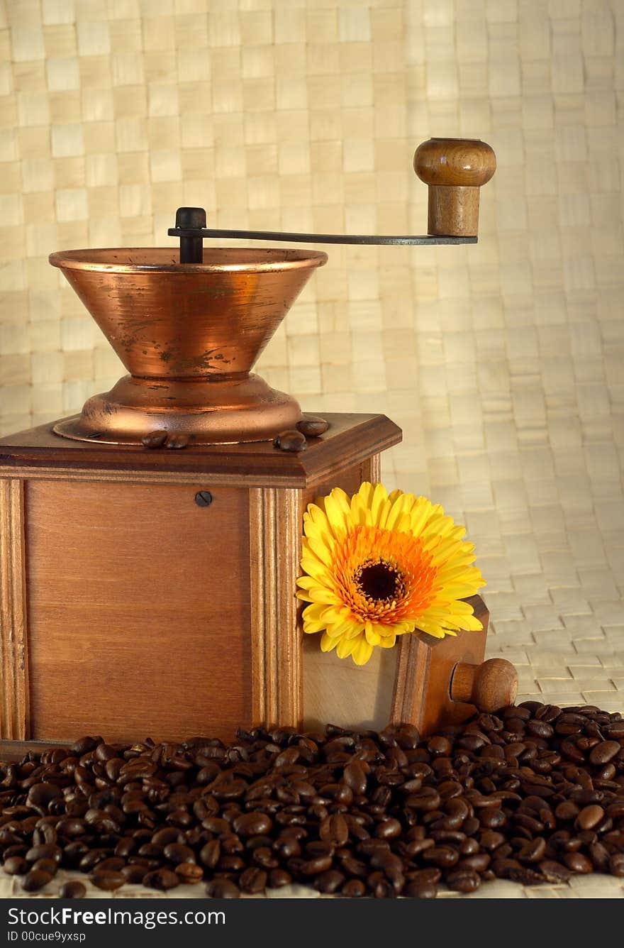 Coffee grinder