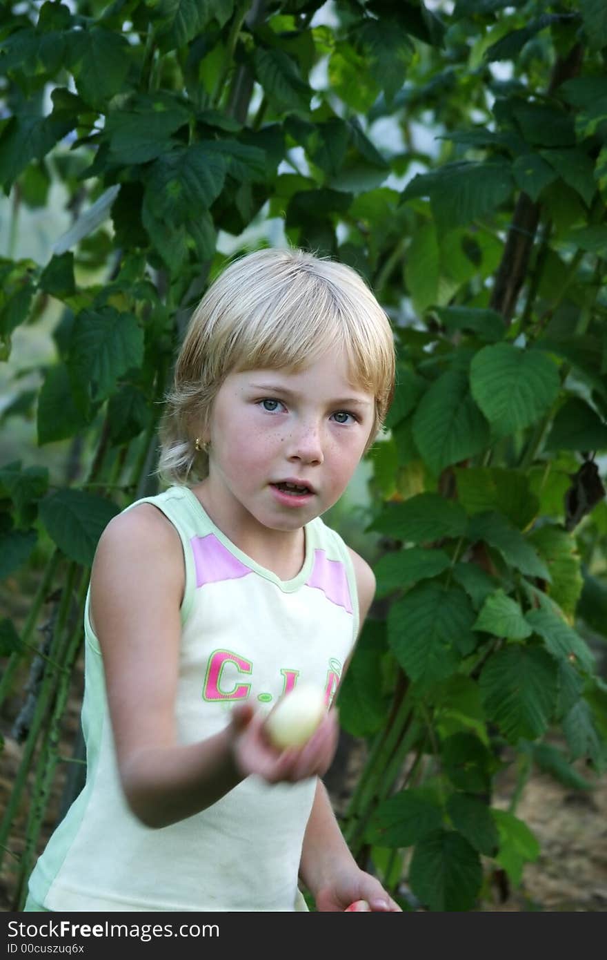 The girl with apples on a green background. The girl with apples on a green background