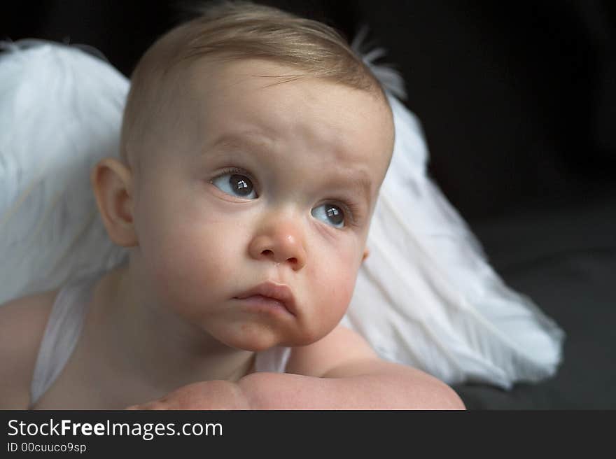 Image of baby wearing angel wings. Image of baby wearing angel wings