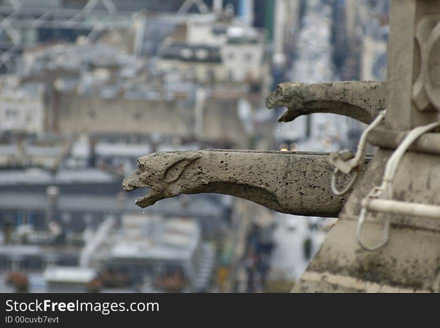 Paris`s view from the top of Notre Dame de Paris. Gargoyle above Paris.