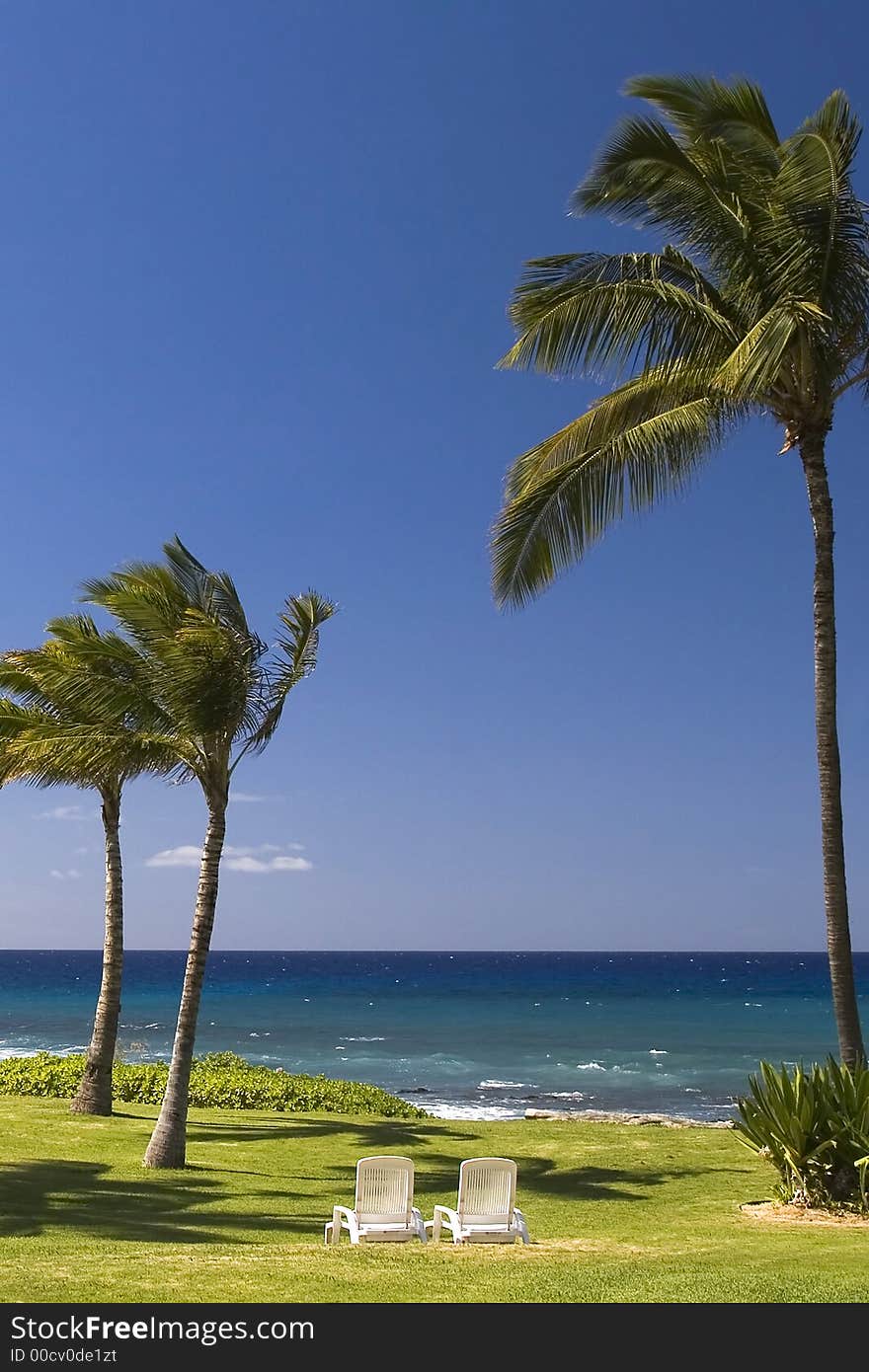 An inviting pair of white lawn chairs on a green lawn look out past swaying palm trees to the turquoise blue ocean under a blue sky. Ahh, paradise. An inviting pair of white lawn chairs on a green lawn look out past swaying palm trees to the turquoise blue ocean under a blue sky. Ahh, paradise.