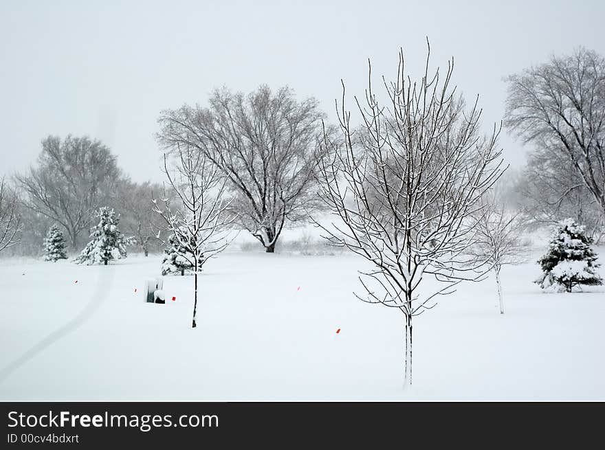 Small red surveyor flags barely visable in the snow. Small red surveyor flags barely visable in the snow.