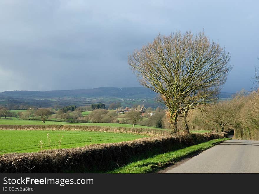 Sunlit foreground and a dark oppressive sky in the background. Sunlit foreground and a dark oppressive sky in the background