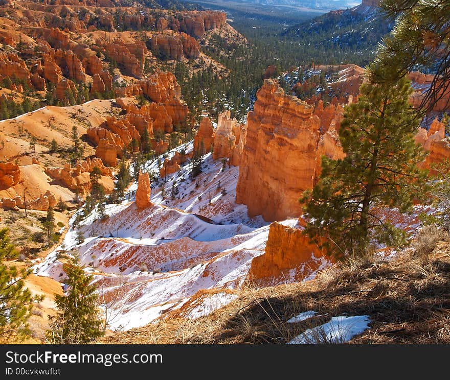 The Bryce Canyon National Park, Utah