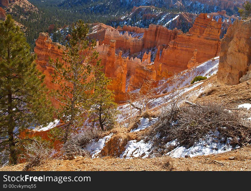 The Bryce Canyon National Park, Utah