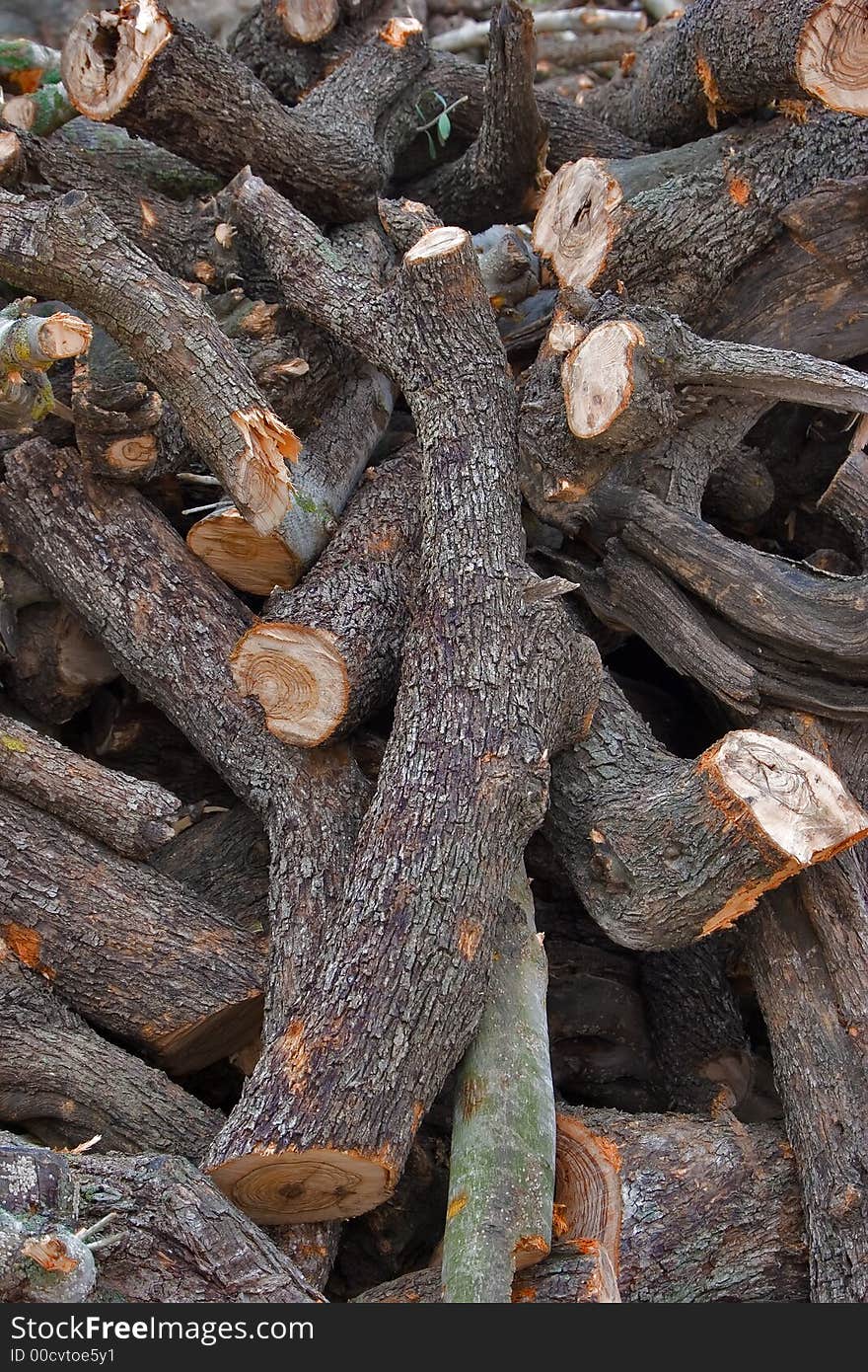 Greater heap of fire wood prepared for the winter. Greater heap of fire wood prepared for the winter