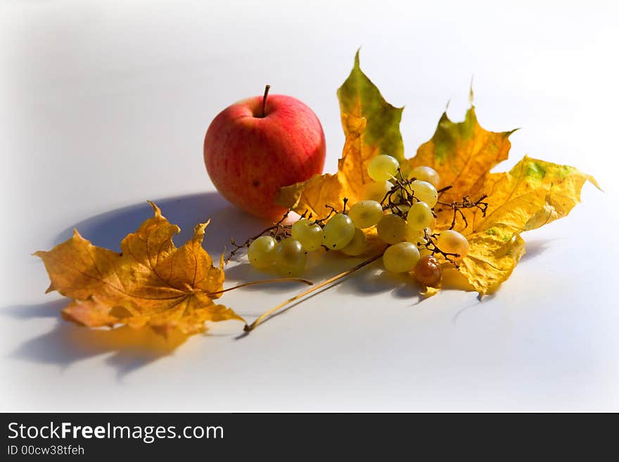 Autumn still-life with a grapes. Autumn still-life with a grapes